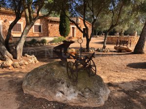 Feigenfinca in Llucmajor