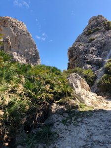 Wanderung zur Cala Boquer