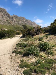 Wanderung zur Cala Boquer