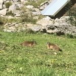 Seealpsee Wanderung